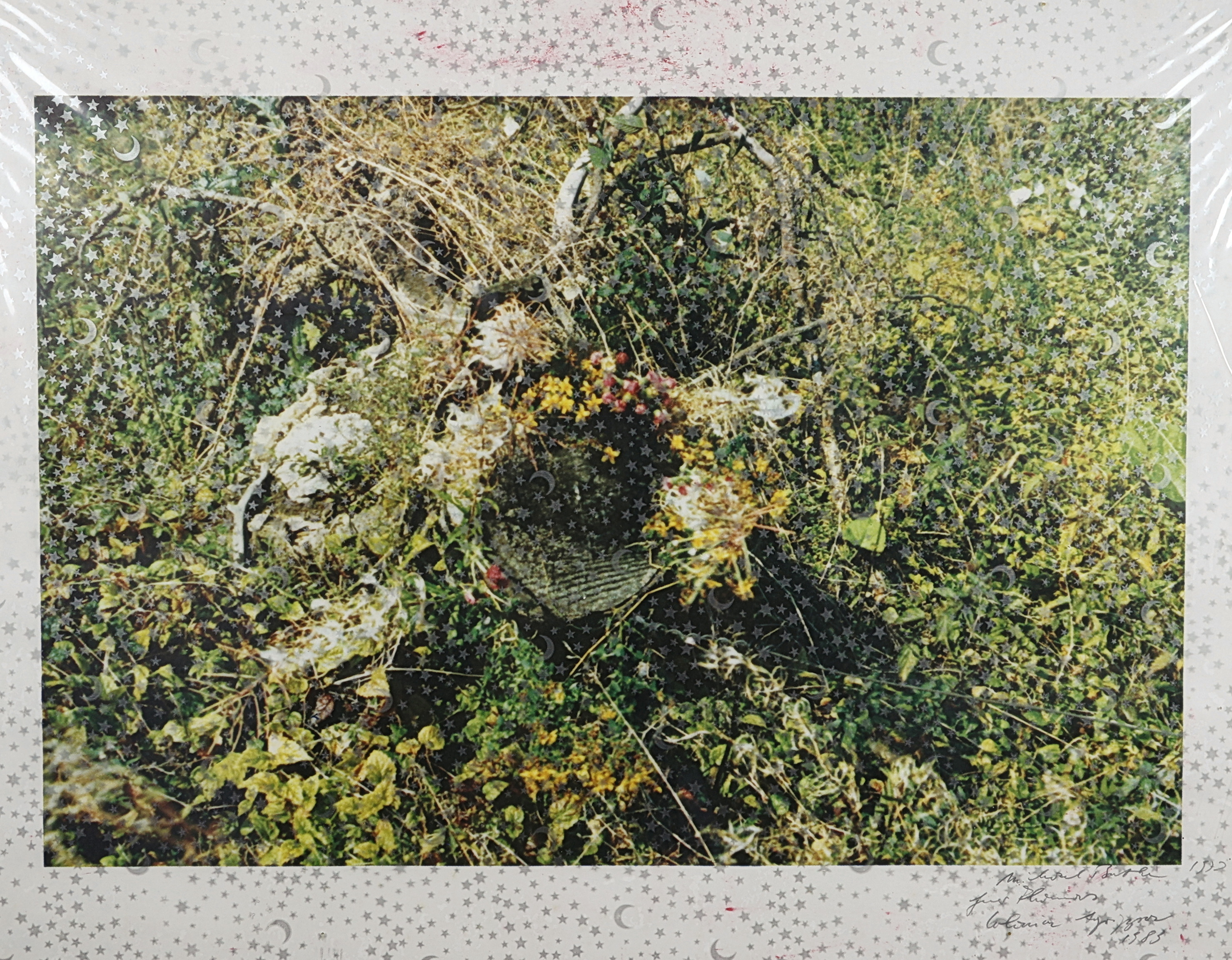 BUTHE, MICHAEL, 1944 Sonthofen - 1995 Köln