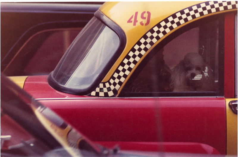 BAUMANN, HORST H., 1934 Aachen - 2019 Düsseldorf